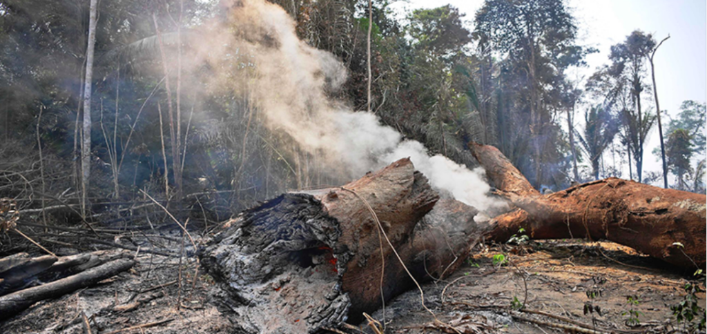 Incendiu în Amazon