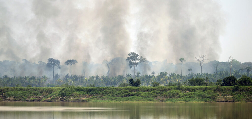 Амазонка пожары