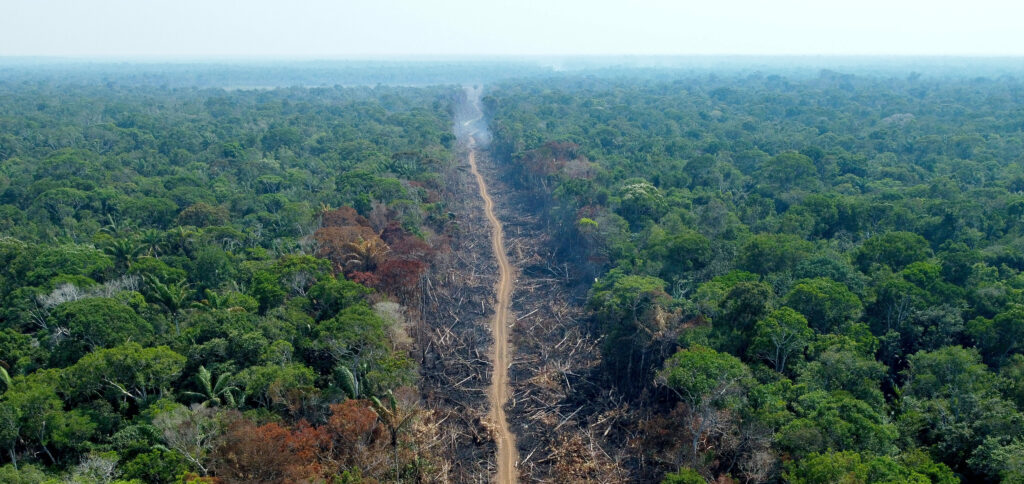 amazônia