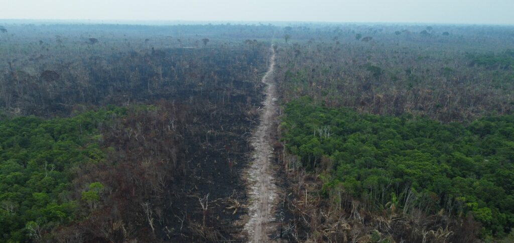 إزالة غابات الأمازون