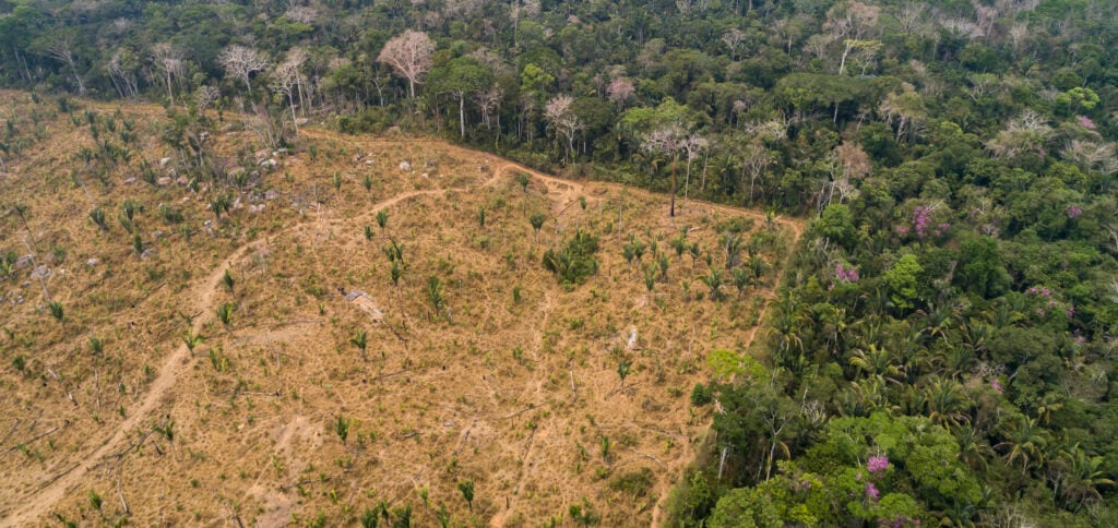 森林破壊されたアマゾン