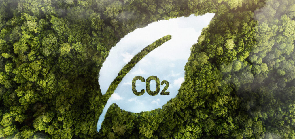 carbon market, carbon credits