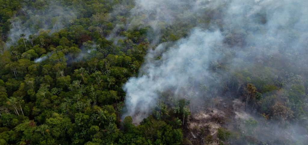 Amazônia/AFP