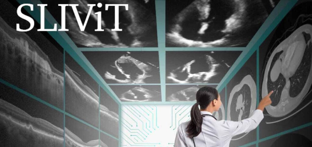 SLIViT: AI reaches expert level in medical examinations