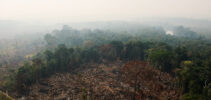 Deforestation_e_Queimdas_2020_50224578572-纵横比-930-440