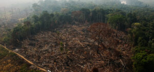 Area de floresta derrubada e queimada e vista na zona rural do municipio de Apui, Amazonas. Foto: Bruno Kelly/Amazonia Real.