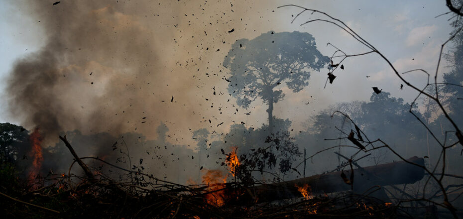 Floresta amazônica pegando fogo