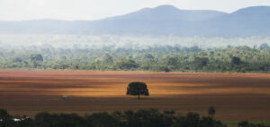 Alto Paraíso (GO) - Área de cerrado desmatada para plantio no município de Alto Paraíso (Marcelo Camargo/Agência Brasil)