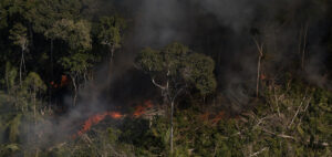 Focos de incêndio na Amazônia