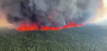Incêndios florestais atingem recordes no Canadá